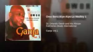 Dr. Orlando Owoh - Aiye Le Medley 1